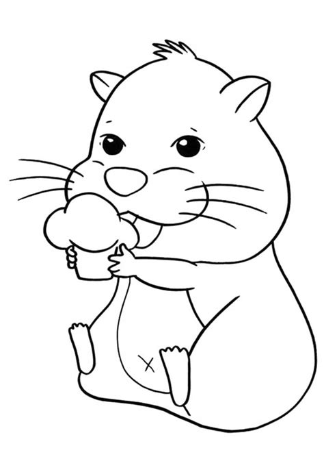 Desenhos De Hamster Para Imprimir E Colorir Pintar