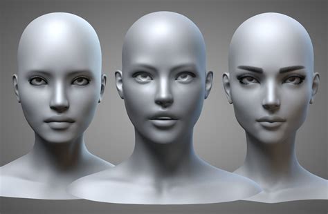 Female Heads Collection Female Head Female Face Drawing Anatomy