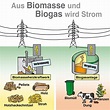 Strom aus Bioenergie