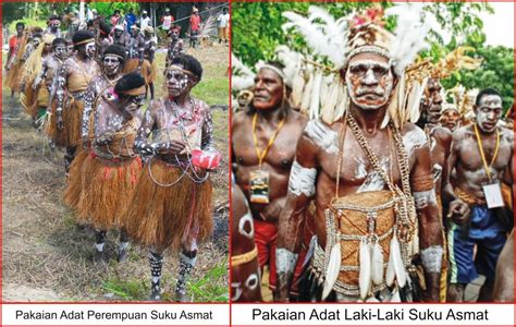 Pakaian Adat Papua Lengkap Gambar Dan Penjelasanya Seni Budayaku