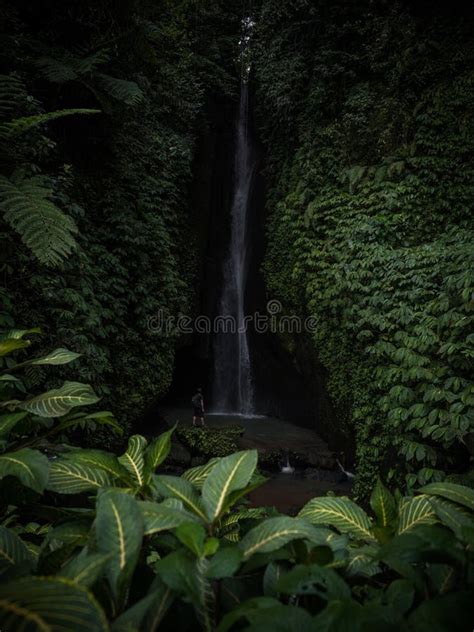 Tropical Rainforest Lush Green Jungle Hidden Waterfall Air Terjun Leke