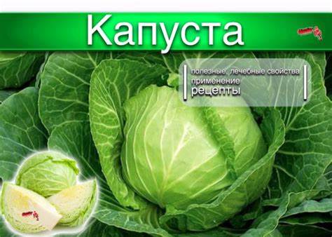 Диета по хлебным единицам (брокколи, рис, капуста, гречка) - похудение Картинка - Диета по хлебным единицам (брокколи, рис, капуста, гречка) - похудение