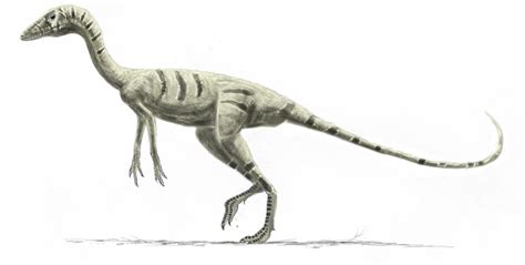 Paleontological Studies Of South Carolina Weekly Featured Dinosaur