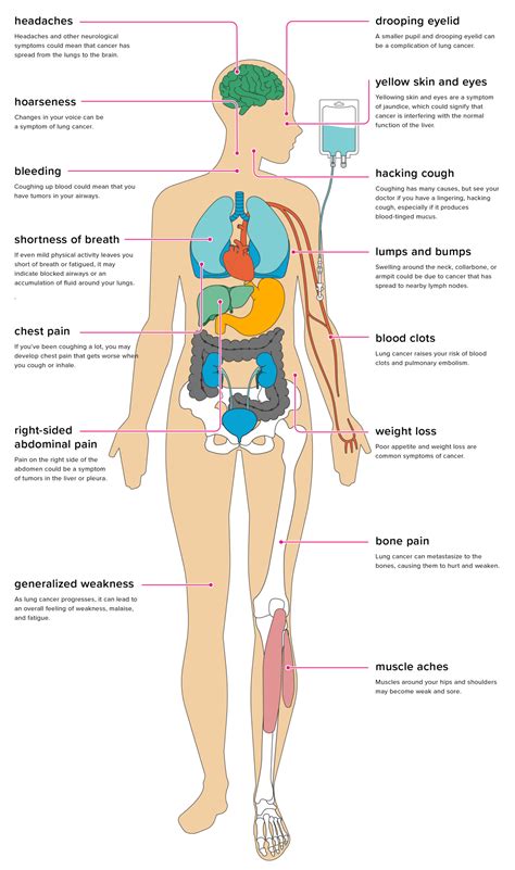 When you're diagnosed with cancer, you and your partner may experience a variety of emotions that could affect your relationship such as shock, anxiety, sadness, relief, guilt, uncertainty, anger. Effects of Lung Cancer on the Body