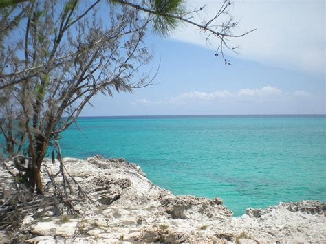Morton Main House Updated 2022 Prices Great Inagua Island Bahamas