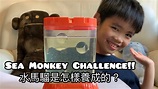 Sea Monkey Challenge!! 水馬騮是怎樣養成的？ (廣東話+中文字幕+English subtitle) - YouTube