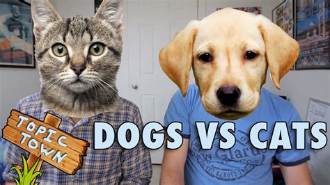 Dogs Vs Cats Youtube