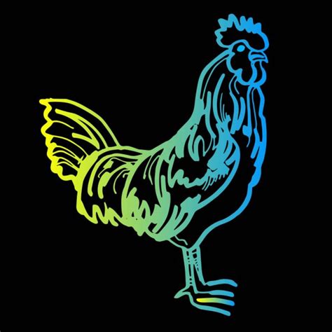 Hand Drawn Rooster In Line Art Style On Black Vector Illustration