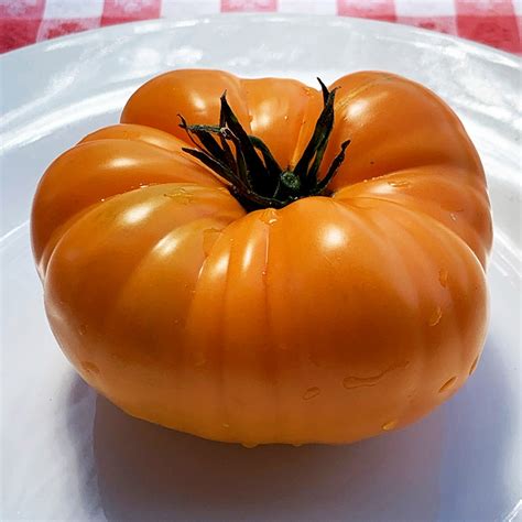 Kentucky Beefsteak Heirloom Tomato Seeds