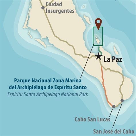 La Guía Máxima Isla Espíritu Santo En La Paz Chimbi Tours Y