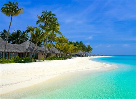 Tropical Island Escape Winter Beach Vacation Dream