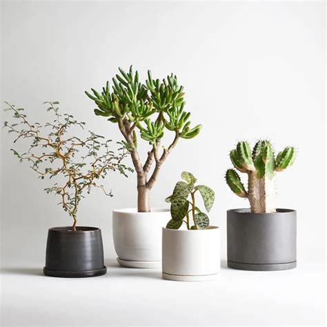 Plant Pot 201hanging Type Plant Pot 201 Allows You To