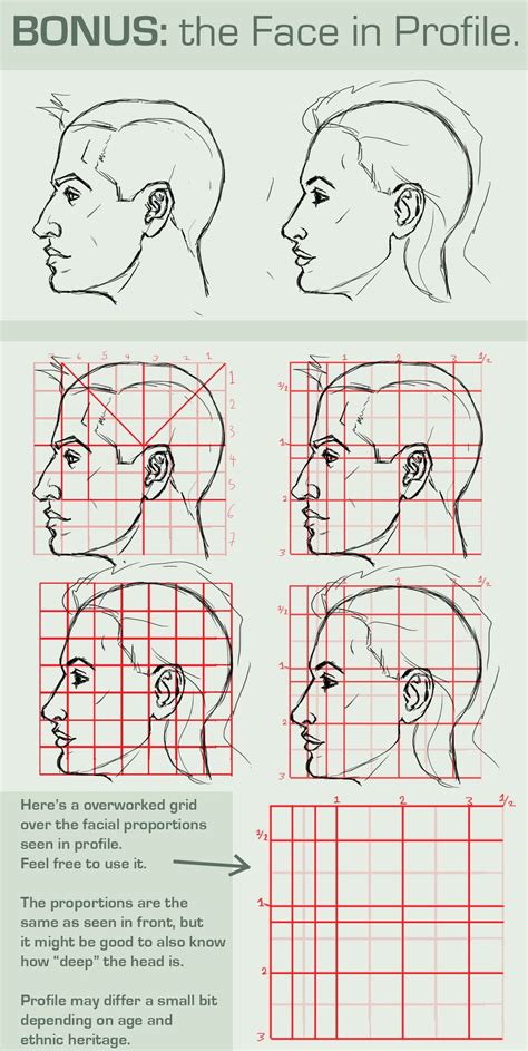 Jeff Searle Proportions Of The Human Head Vrogue Co
