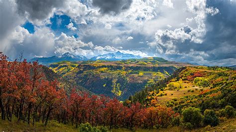 Aerial View Of Colorful Autumn Trees Mountains Slope Grass Field Under