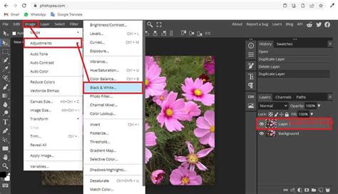 How To Do Selective Color In Photopea Aguidehub