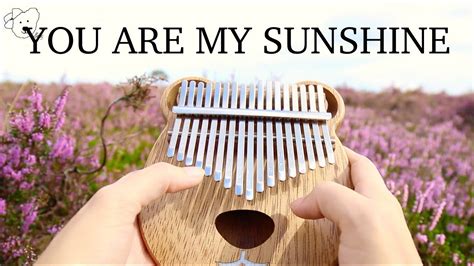 You Are My Sunshine Kalimba Cover With Easy Tabs Youtube