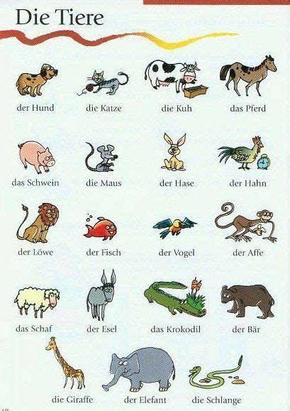 Learning German Die Tiere Animals German Languages From