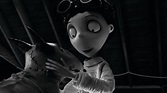 Frankenweenie - Film Guide with Free Games and Printables for Kids ...