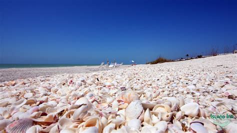 Sanibel Island Shelling Island Inn Sanibel