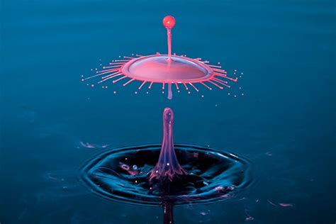 Water Drop Photography Photography