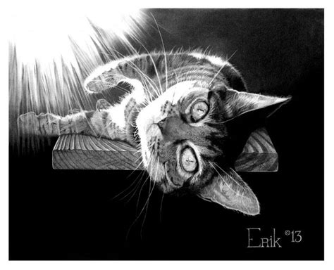 Gabbie The Art Of Erik Stitt Drawings And Illustration Animals