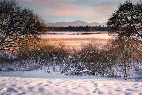 Winter Meadow Nature Free Photo On Pixabay