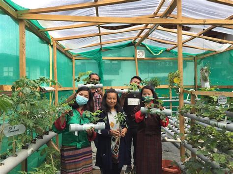 A Woman Starts Countrys First Private Hydroponics Farm Business Bhutan