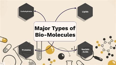 Four Major Types Of Bio Molecules By Kurt Decano