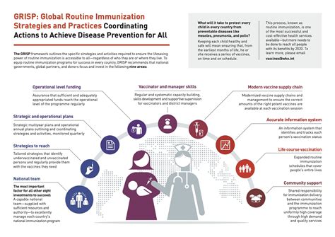 Who Immunization Policy And Strategies