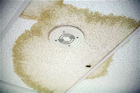 What Causes Water Stains On The Ceiling Ceiling Leaks Repair