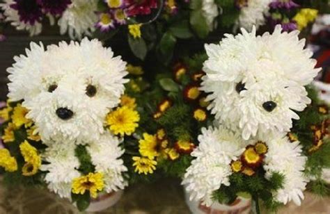 Tempting cookies and tasty chocolates add. Puppy-Shaped Bouquet | The Mary Sue