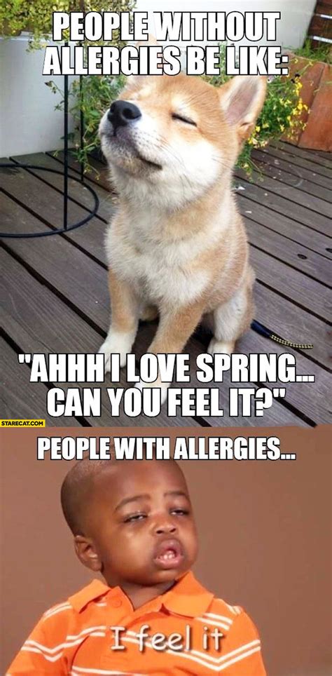 Funny Allergy Memes Tribuntech