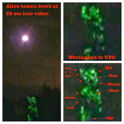 UFO SIGHTINGS DAILY: Glowing UFO Drops Off Green Glowing Alien, Then Comes Back For it, Oct 2013 ...