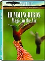 Nature: Hummingbirds - Magic in the Air: Amazon.ca: Various: DVD