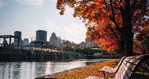 21 of the best photos of fall in Montreal (so far) | Curated