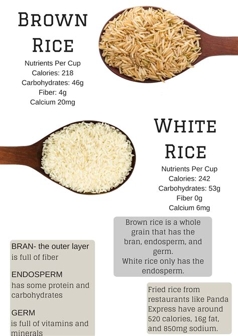 Dont Miss Our 15 Most Shared Difference Between White And Brown Rice