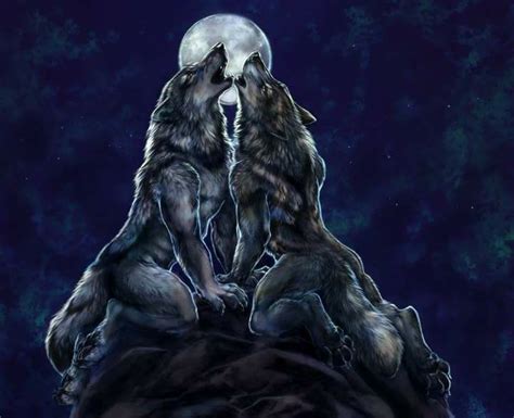 Pin By Doug Winters On Werewolves Wolf Spirit Animal Werewolf