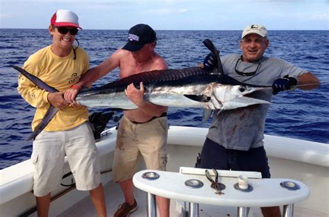 Marlin | Double Header Sportsfishing