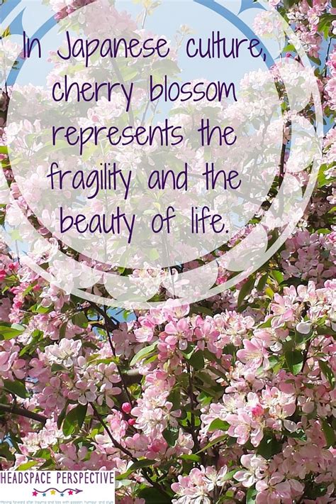 Blossom Symbolises The Beauty And The Fragility Of Life In Japanese