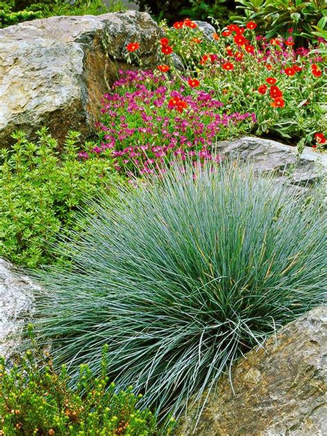 42 Amazing Evergreen Grasses Landscaping Ideas Homishome