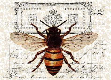 Queen Bee Antique French Vintage Paper Illustration Collage Art Print