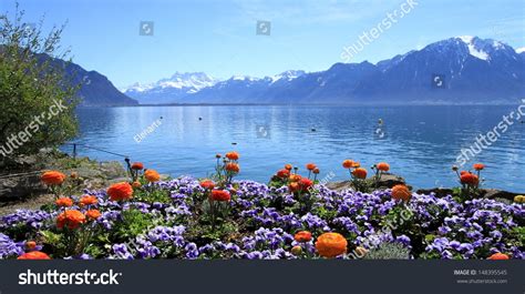 Colorful Springtime Flowers At Geneva Lake Montreux Switzerland See