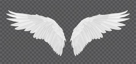 Angels Images Browse 760877 Stock Photos Vectors And Video Adobe