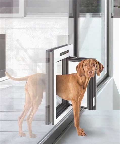 The Benefits Of Installing A Pet Door In A Sliding Glass Door Glass