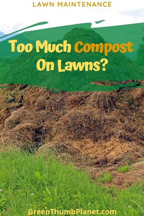We did not find results for: Too Much Compost On Lawn, Is It A Big Problem?