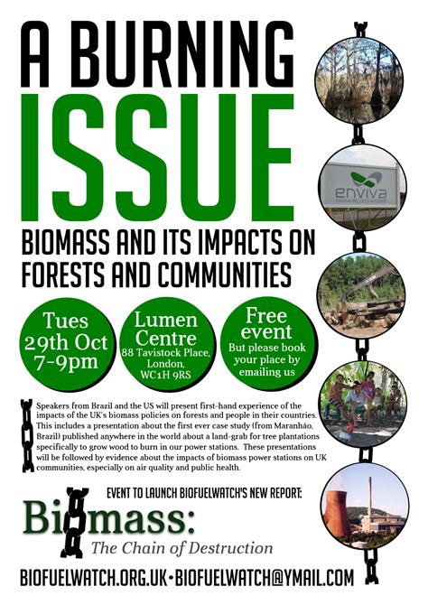 Biofuelwatch Public Meeting A Burning Issue Biomass