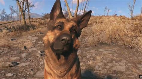 River The Dog That Inspired Dogmeat From Fallout 4 Has Passed Away