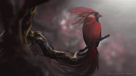 Red Bird Digital Art Bird Artist Digital Art Hd Wallpaper Peakpx