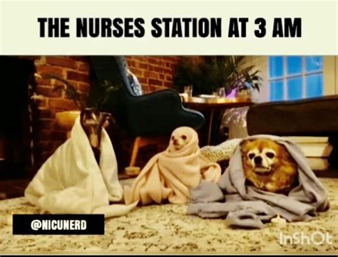 Night Nurse Humor Night Shift Humor Nurse Jokes Night Shift Nurse Nursing School Humor