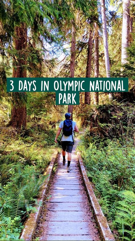 3 Days In Olympic National Park West Coast Road Trip Olympic